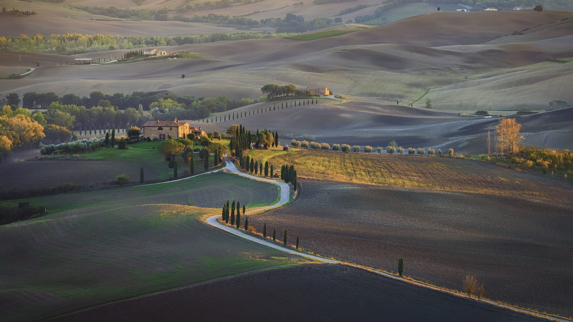 Дрон — TUSCANY